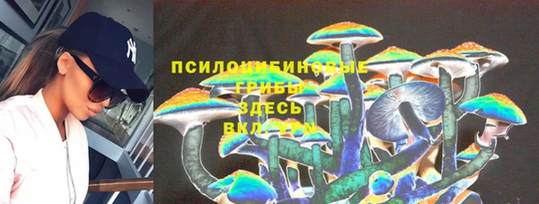 тгк Балахна