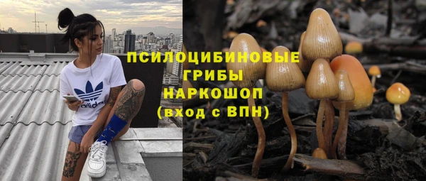 тгк Балахна